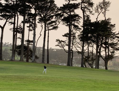 TPC Harding Park – San Francisco